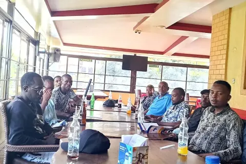 Mentorship Network